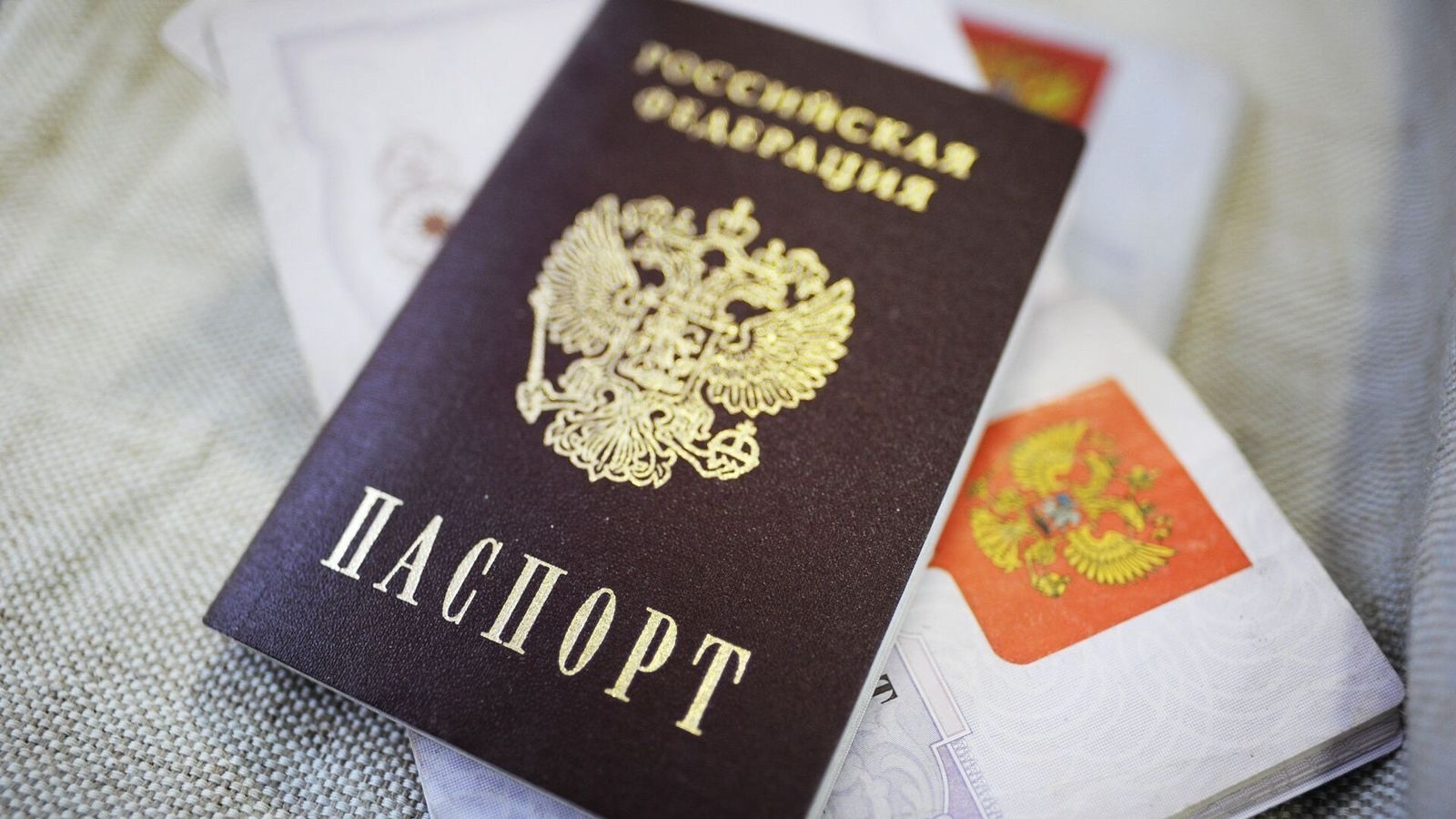 Вступил в силу закон о расширении оснований для прекращения приобретенного гражданства РФ
