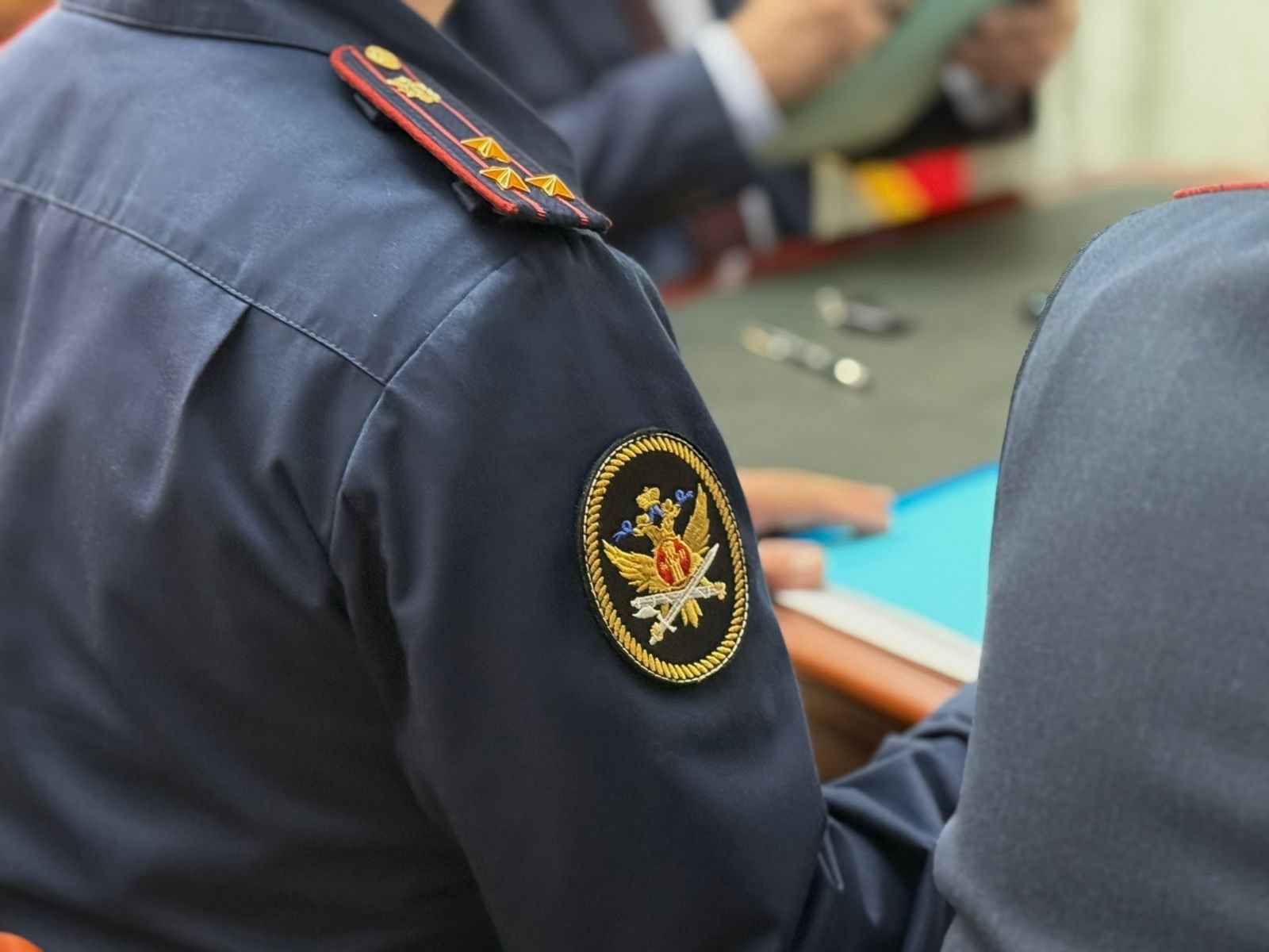 Подготовка шахматного турнира среди лиц, находящихся в местах принудительного содержания